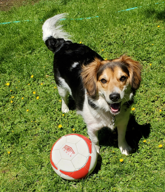 I play soccer too!